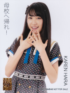 Bokou_e_Kaere_Bonus_1