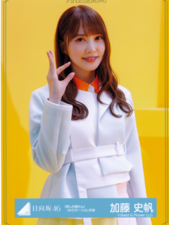 ShikaKatan_01