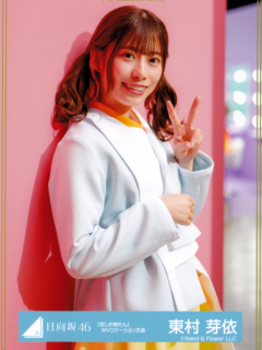 ShikaKatan_11