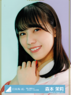 ShikaKatan_13