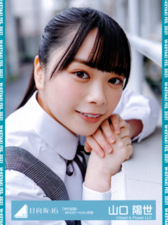 WKeyaki21_14