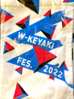 HNTZK46_W-Keyaki_03