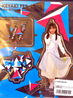 HNTZK46_W-Keyaki_04