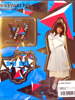 HNTZK46_W-Keyaki_07