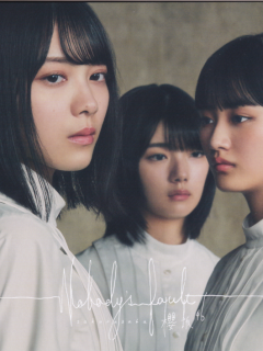 1_Nobodys_fault_A