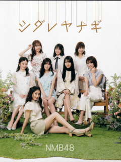 Shidare_Yanagi_B