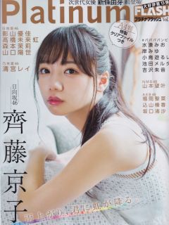 Platinum_Flash_Vol13