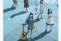tsubasa-wa-iranai