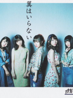 Tsubasa_wa_Iranai_Cover_A2