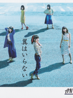 Tsubasa_wa_Iranai_Cover_B1